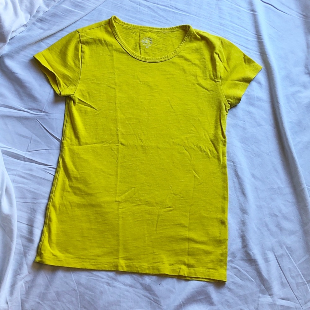 J Crew Painter T
